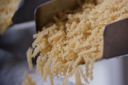 Food Processing Machinery